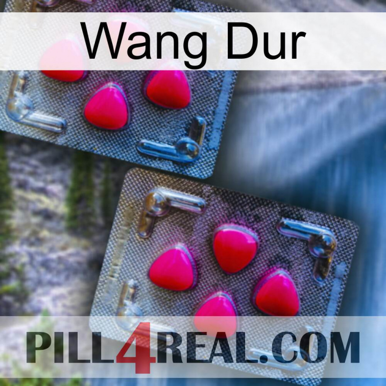 Hard Wang 14